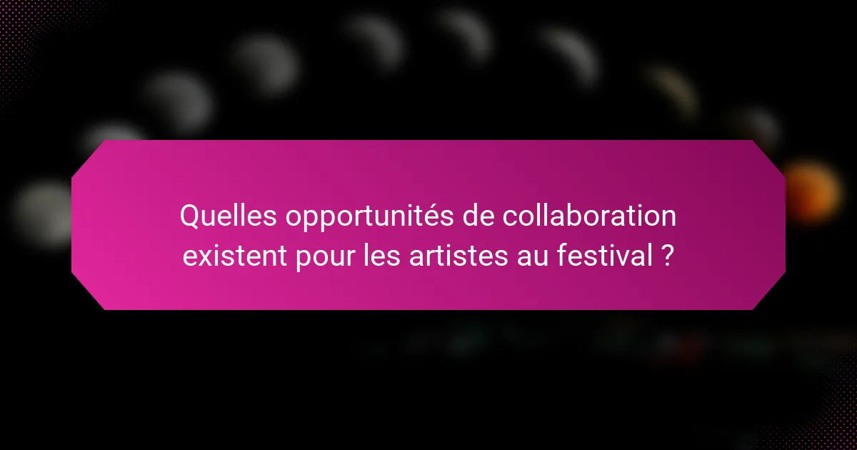 Quelles opportunités de collaboration existent pour les artistes au festival ?