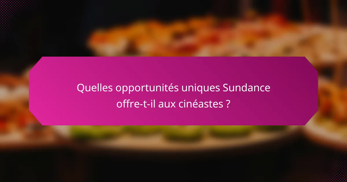 Quelles opportunités uniques Sundance offre-t-il aux cinéastes ?