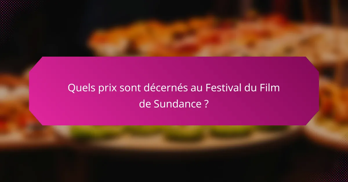 Quels prix sont décernés au Festival du Film de Sundance ?